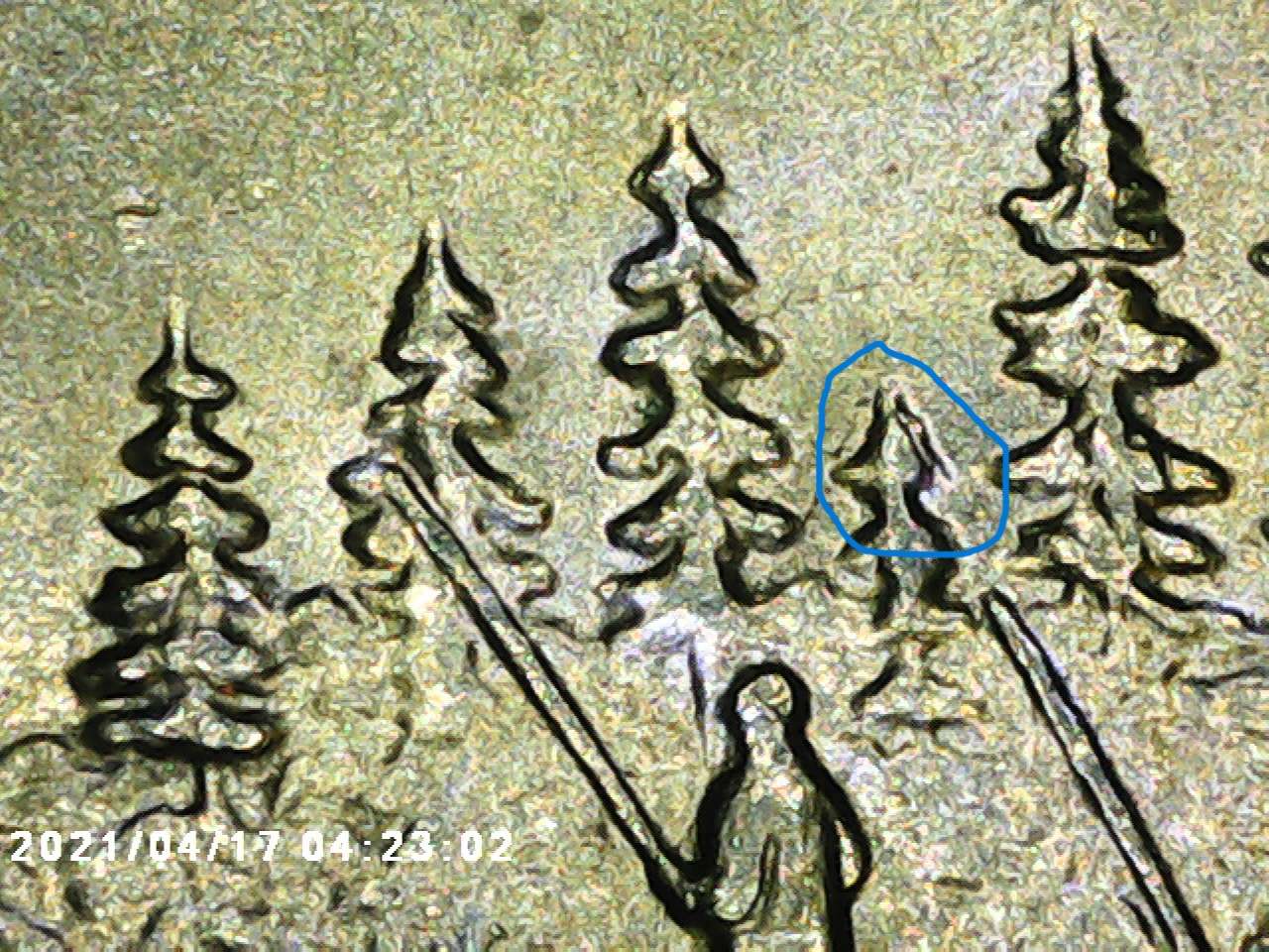2005-P-Minnesota-Quarter-Possibly-New-Listing